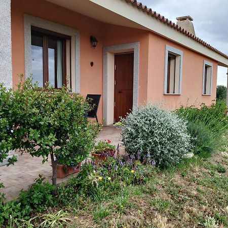 Agriturismo Gli Olivastri -Appartamento Bel Vedere Con Piscina ,Solarium E Vista Mare,Climatizzatore ,Wifi Aglientu Exteriör bild