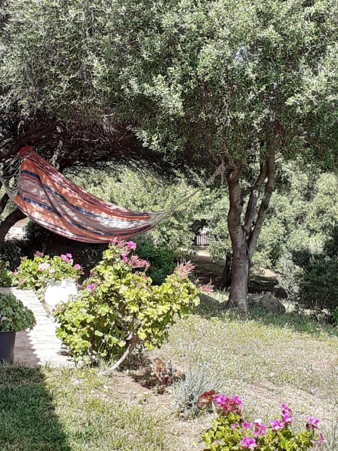 Agriturismo Gli Olivastri -Appartamento Bel Vedere Con Piscina ,Solarium E Vista Mare,Climatizzatore ,Wifi Aglientu Exteriör bild