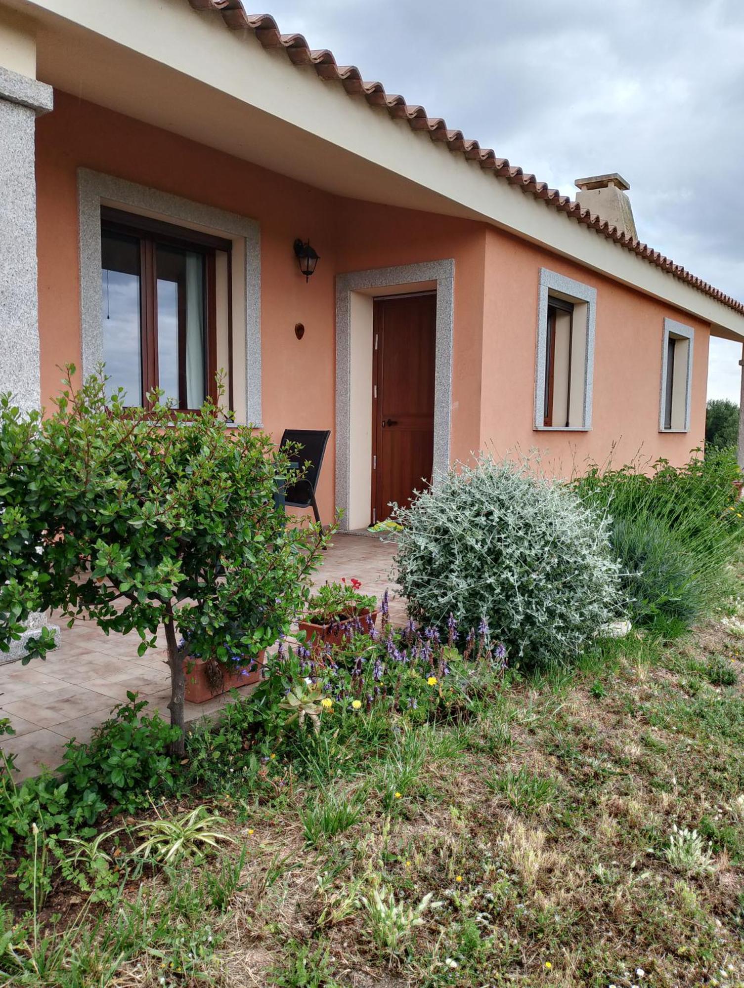 Agriturismo Gli Olivastri -Appartamento Bel Vedere Con Piscina ,Solarium E Vista Mare,Climatizzatore ,Wifi Aglientu Exteriör bild