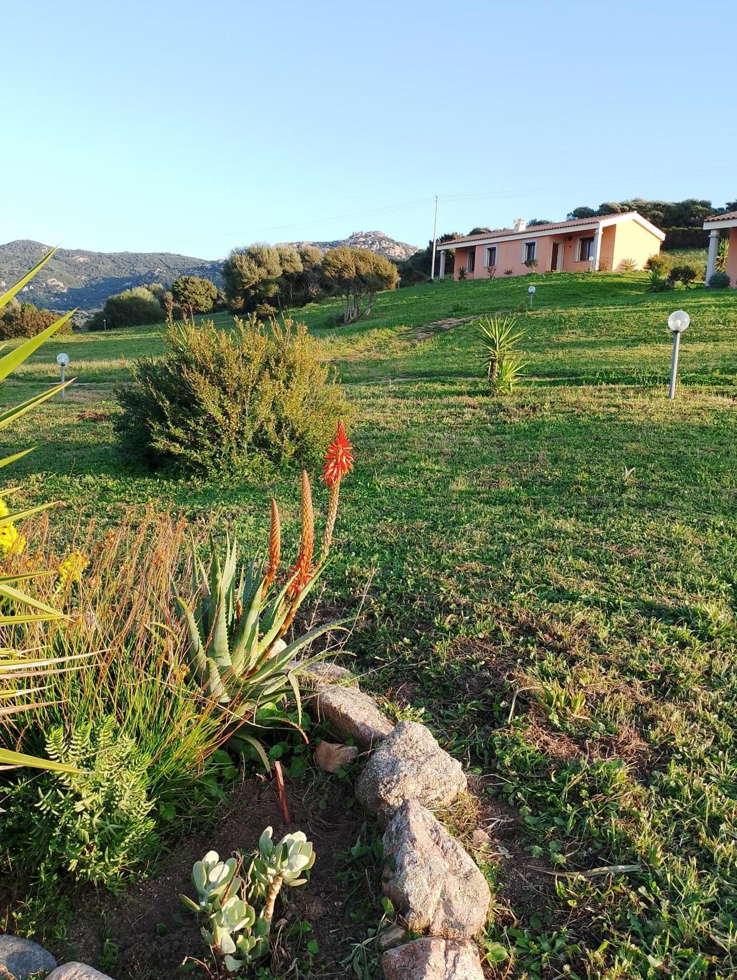 Agriturismo Gli Olivastri -Appartamento Bel Vedere Con Piscina ,Solarium E Vista Mare,Climatizzatore ,Wifi Aglientu Exteriör bild